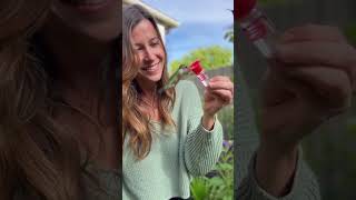 Mesmerizing Liquid Glass Transformation #drink #summer #raspberry #water #cocktail