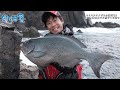 【釣り百景】#428 ロクマルオナガとの接近戦！ 高知県鵜来島で大型グレに挑む