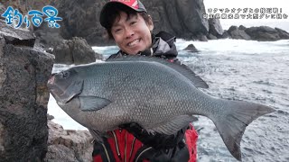 【釣り百景】#428 ロクマルオナガとの接近戦！ 高知県鵜来島で大型グレに挑む