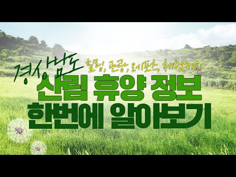 경남 산림휴양 정보가 한 곳에❗️ 휴양, 힐링, 관광, 체험까지🌲