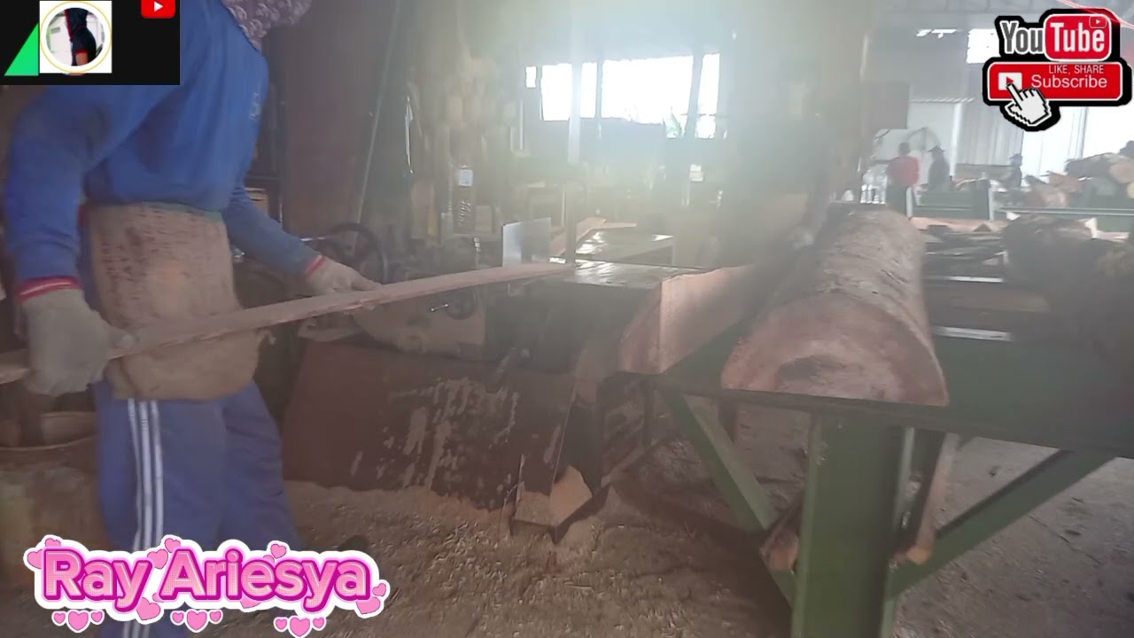 KAYU KRUING MARKET TINGGI $#trending #fypyoutube 