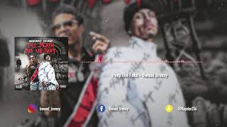 4 Peep The Fake Bwood Breezy