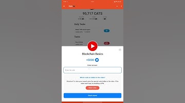 Blockchain Basics -Cats todays code