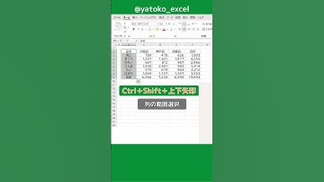 【Excel】キーボードなしでセルを移動させるショートカットを一部ご紹介しました！#エクセル #shorts #youtubeshorts #excel