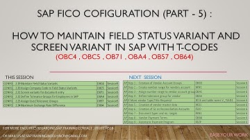 SAP FICO COFIGURATION (Part -5) How to maintain Field status variant and screen variant with T-code