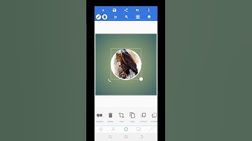 How to clip mask image to shape on Pixellab #shorts #youtubeshorts #pixellabediting