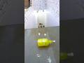 Breaking Yellow glass bottles! Crushing Crunchy & soft things #asmr #shorts