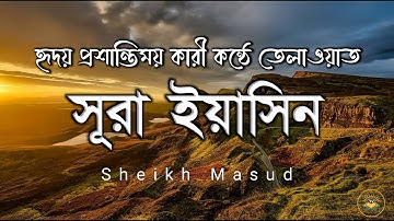 প্রতিদিন সকালে শুনুন - সূরা ইয়াসীন |( سورة يس) Surah Yaseen | সকালের সেরা আমল | Sheikh Masud