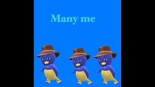 Many Pablo The Penguins