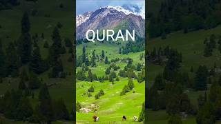 QURAN KA URDU MAIN TRANSLATION