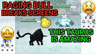 Don't Underestimate This Tauros! (Pokemon Showdown Random Battles) (High Ladder)