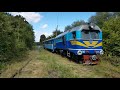 Спецпоезд Боржавская УЖД / Special train Borzhava narrow gauge railway