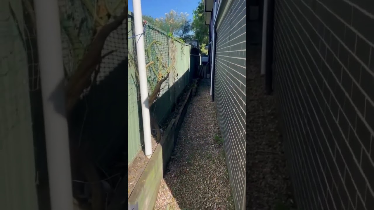 Turn your overgrown backyard into a tidy, beautiful space with Jim’s Mowing!