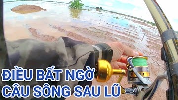 CÂU SÔNG THÁI BÌNH SAU LŨ 2025#caucagiaitri#fishing 