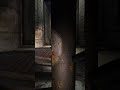 S.T.A.L.K.E.R. Gamma bandits in the tunnels #gaming #S.T.A.L.K.E.R. #gamma