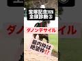 宝塚記念2026全頭診断3ダノンデサイル