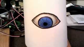 Animatronic Eyeball - Prototype II -  Part 2 - Eyelid Facade