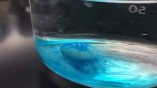 Dissolving M&M in Water (Time-Lapse)