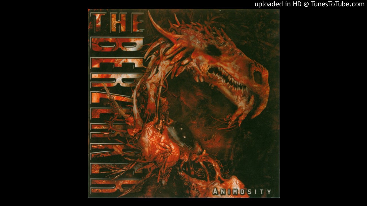 The Berzerker Heavily Medicated YouTube