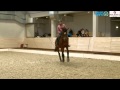 Мастер класс Катрины Вюст в Maxima Stables 01.02.15 - 3