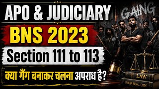 क्या गैंग बनाकर चलना अपराध है? | BNS 2023 Section 111 to 113 | APO & Judiciary