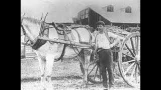 Diamantina Drover - John Williamson