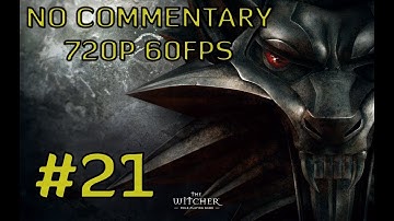 The Witcher: Enhanced Edition #21