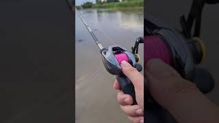 Shimano curado dc sounds