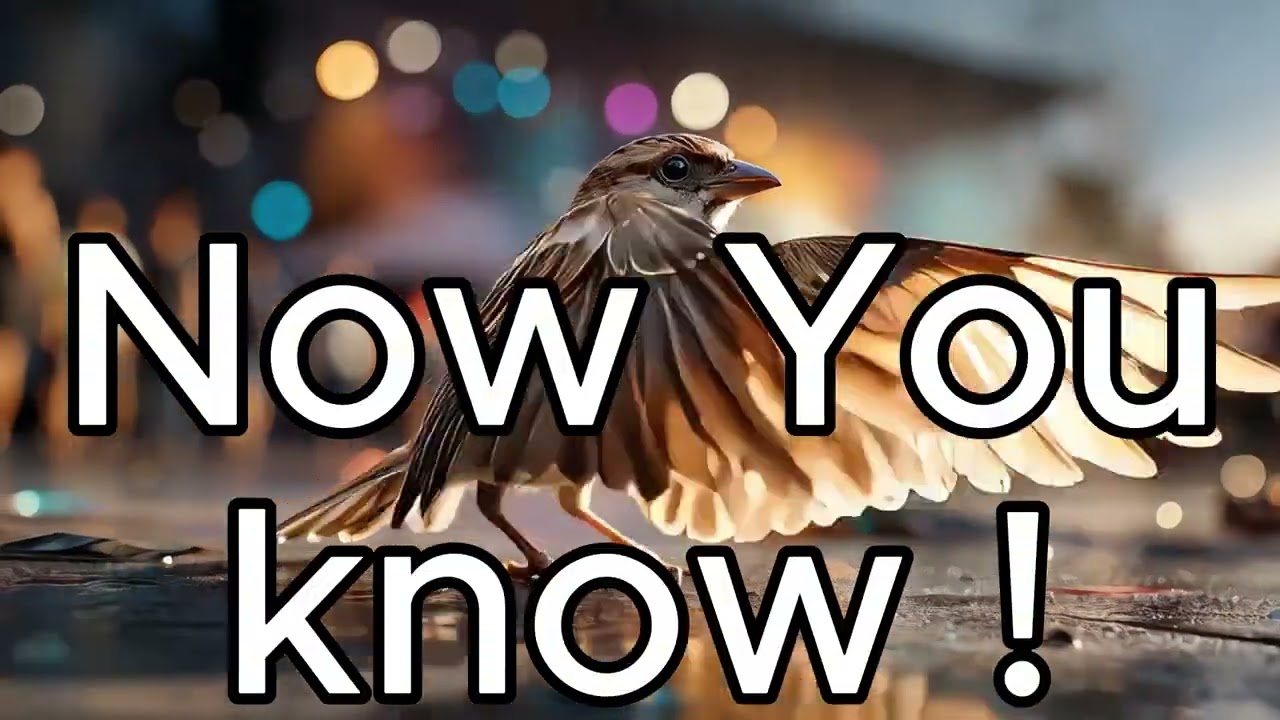 Kuduro Energy 🔥 | Animated Sparrow | Royalty Free Music for Videos