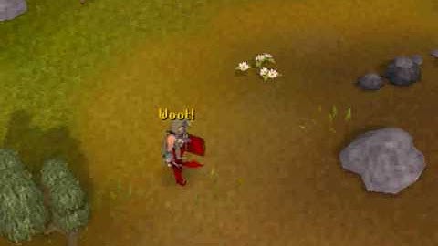 Clue scroll reward- AWESOME REWARD!!