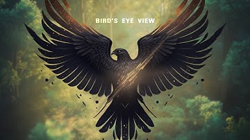 Matthew Parker & Jacob Stanifer - Bird
