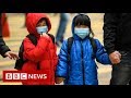 New video by BBC News on YouTube