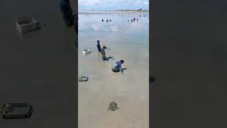 Download Lagu https://vt.tiktok.com/ZSU3vwJFJ/ MP3 Download Lagu https://vt.tiktok.com/ZSU3vwJFJ/ MP3