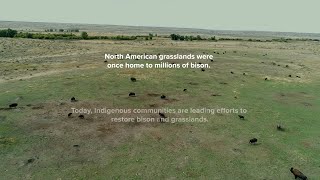 Intertribal Grasslands Network - Grassland Survey