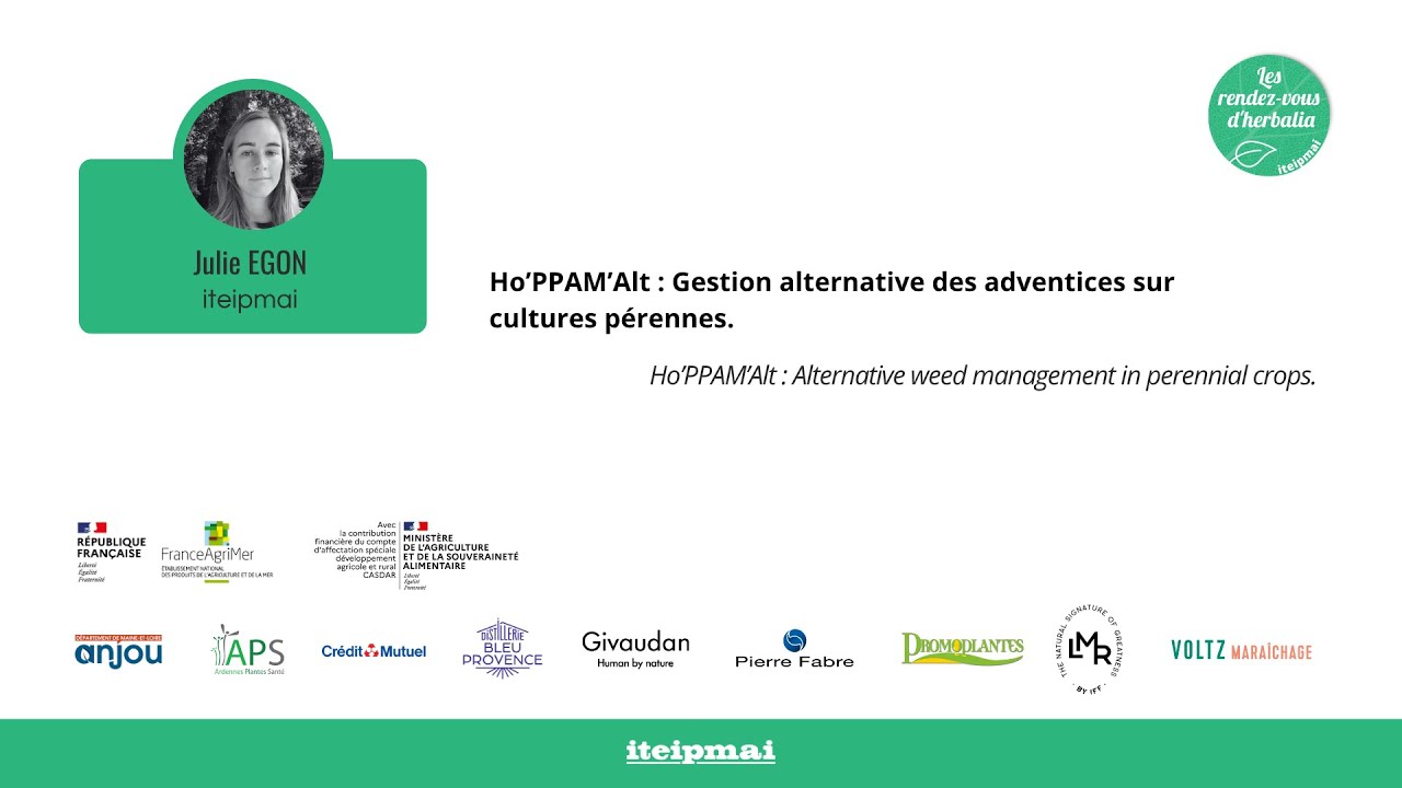 12 -  Le projet Ho'PPAM'Alt : gestion alternative des adventices sur cultures pérennes