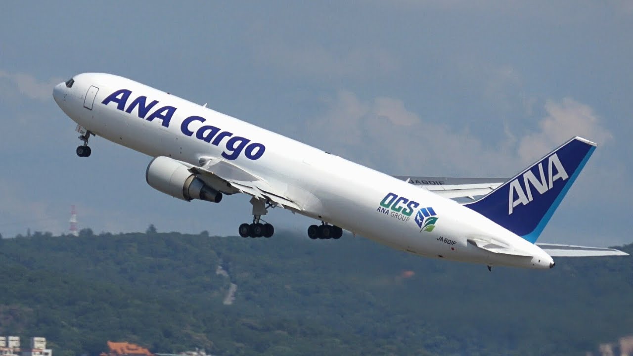 天氣好當然要來看飛機啦！近距離感受引擎的嘶吼聲！😊 桃園機場36架次起降  | Taoyuan International Airport Plane Spotting #20250911