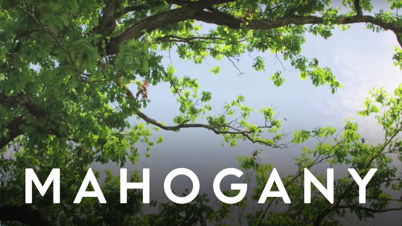 Watch Garden City Movement - My Only Love | Mahogany Music Club on YouTube Watch Garden City Movement - My Only Love | Mahogany Music Club on YouTube