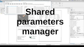 [Revit] Shared parameters manager
