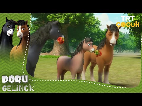 DORU | GELİNCİK