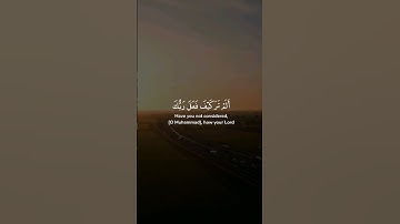 سورة الفيل | مشاري العفاسي