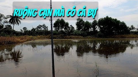 Câu cá lóc mùa lũ ( P51 ). Câu cá bạ đụng Hugo. Thợ săn cá lóc.