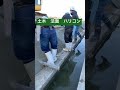 土木 ユンボ 法面 ハリコン コンクリート 左官 仕上げ