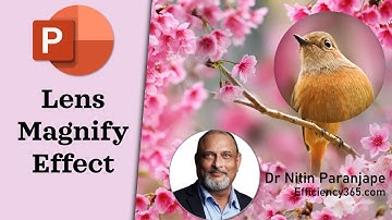 How to use Lens Magnify - Zoom Effect in PowerPoint animation (morph) - PowerPoint 2019, Office 365