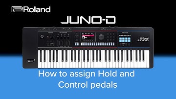 Roland JUNO-D - How to assign Hold and Control Pedals