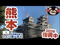 【熊本 女ひとり旅】熊本城復興ルートとグルメ食べ歩き