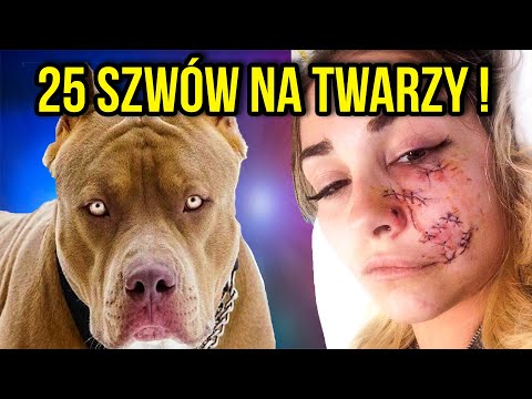 Wideo: Czy Twój pies ma kieszeń ogonową?