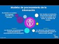 Modelos de procesamiento de la información - Neuropsicología cognitiva