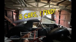 What A UK Barn Find  5 Cars, 1 Find! Join Us As We Go Exploring #barnfind #classiccars