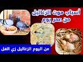 موت الزغاليل سبب موت الحمام زغاليل الحمام اللبا من عمر يوم تربية الحمام الزاجل