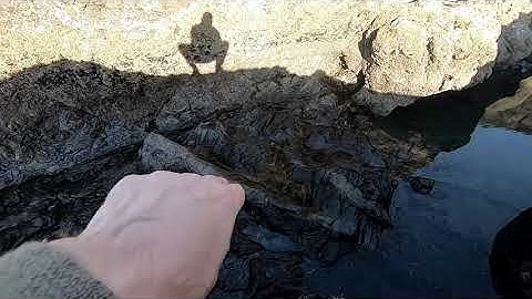 The Biology of Earth.#2